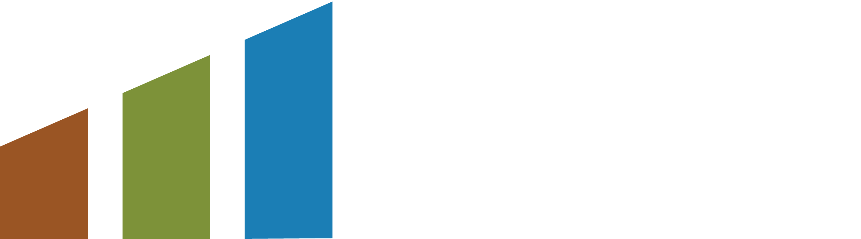Renewable Asset Market Platform